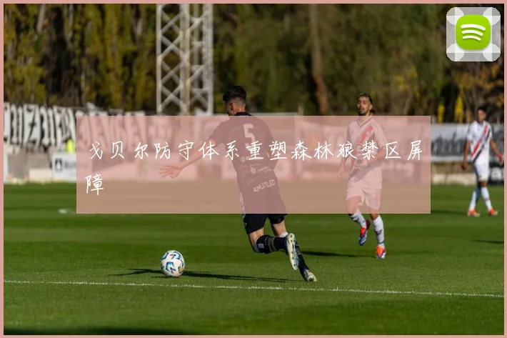 戈贝尔防守体系重塑森林狼禁区屏障