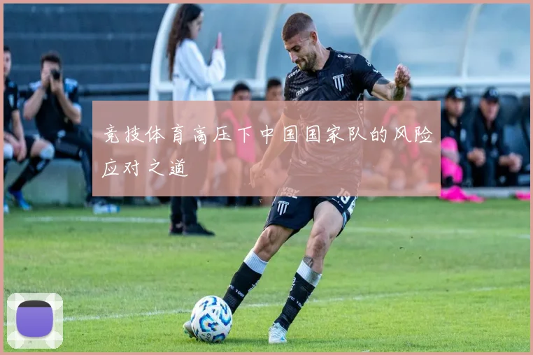 竞技体育高压下中国国家队的风险应对之道