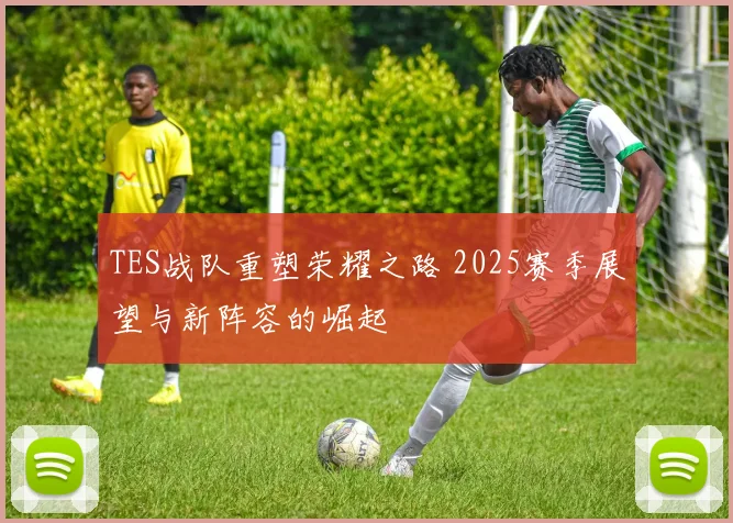 TES战队重塑荣耀之路 2025赛季展望与新阵容的崛起