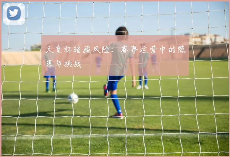 天皇杯暗藏风险：赛事运营中的隐患与挑战